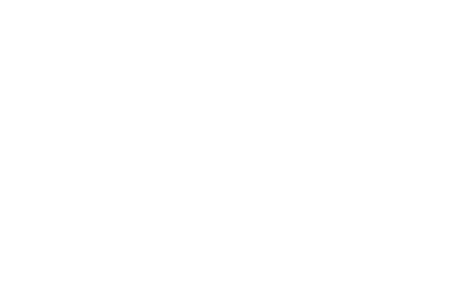 AMO Scaling wolf logo