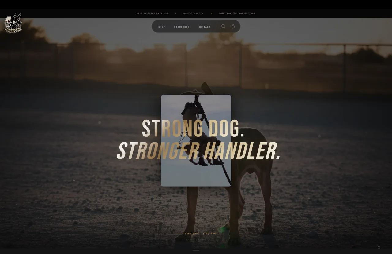 Validus Canis website